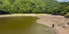 Drought Concerns Increase as El Nino Intensifies: Caribbean Urged to Prepare for Hotter, Drier Conditions